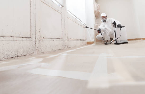 24/7 Emergency Mold Remediation experts in Lexington, NC